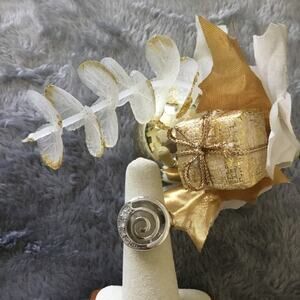 Silver Spiral Crystals Ring